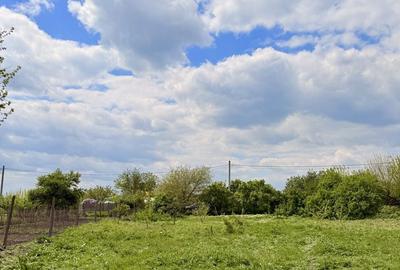 Teren de 1132 mp, în Budeni - 3