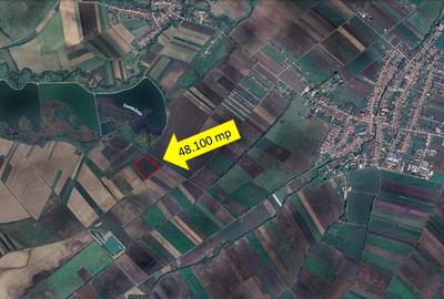 Teren agricol extravilan de 48100 mp, în Hălchiu