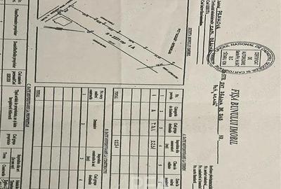 Teren de vanzare Drajna de Sus, zona buna pentru case vacanta - 5