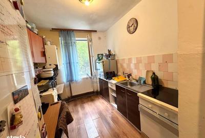 Apartament cu 2 camere în Săsar - 5