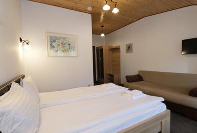 Vanzare pensiune noua complet functionala superba Prahova padure priveliste - 9