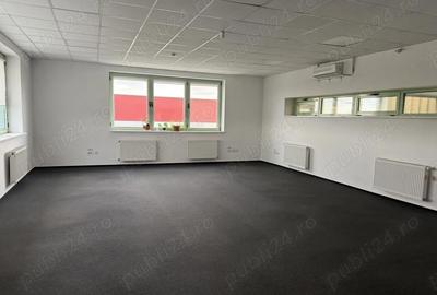 Spațiu comercial, de 6,500 mp, în Bolintin-Deal - 3