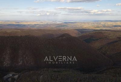 OPORTUNITATE | Teren intravilan | 34.625 mp | Plopi - Valea Ierii - 5