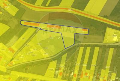 Teren Construcții intravilan de 17581 mp, în Cislău - 3