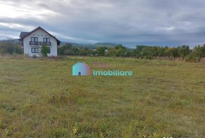 Casă cu 4 camere cu Teren 8450 Mp în Central - 16
