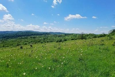 Teren de 10000 mp, în Valea Iașului - 5