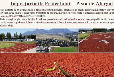 Teren Construcții intravilan de 12000 mp, în Tohanu Vechi - 8