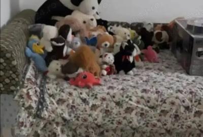 Vand 2 cladiri in Loc.Motatei jude?ul Dolj 29.000 EURO - 4