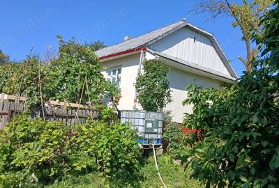 Casa+teren de vanzare in Adancata, Suceava - 9