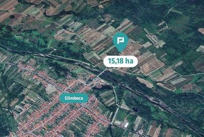 Teren extravilan agricol de 20 ha langa Caransebes - 3