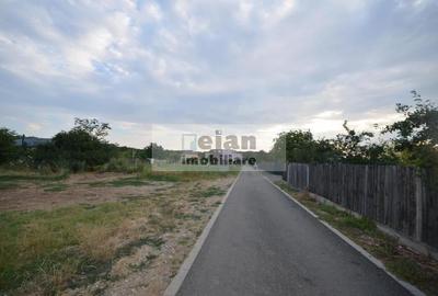 Snagov Ciofliceni - Teren 6153mp, D 25 M, Toate Utilitatile, Asfalt - 7