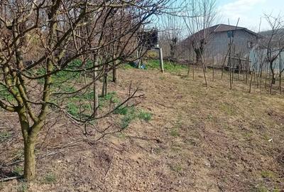 Casă individuală cu 5 camere cu Canalizare în Mărgineni - 4