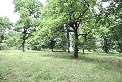 Teren Construcții intravilan de 4713 mp, în Poiana Brașov - 3