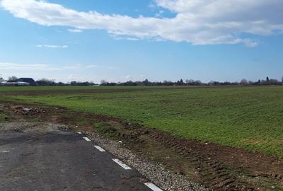 Teren de 4000 mp, în Tâncăbești - 3