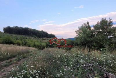 Teren de 38000 mp, în Gușterița - 3