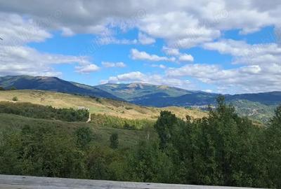 Teren de 2500 mp, în Central