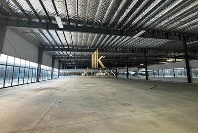 HUB Industrial & Comercial Premium Afumati - 19