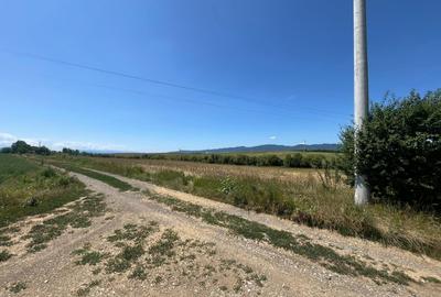 De vânzare teren extravilan – Calea Feldioarei, 10.000 mp - 2