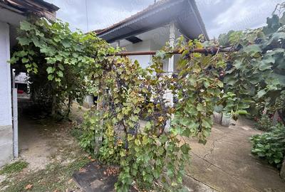 Vand CASA sau schimb cu apartament in Tg Jiu - 3