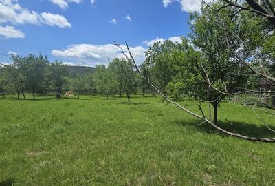 Brebu, Prahova,teren 2232mp + doua constructii in suprafata de 382mp, utilitati - 2