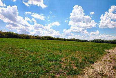 Teren de 6200 mp, în Ardud - 6