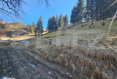 Teren de 2977 mp, în Scărișoara - 3