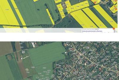 Teren de 3600 mp, în Dascălu - 8