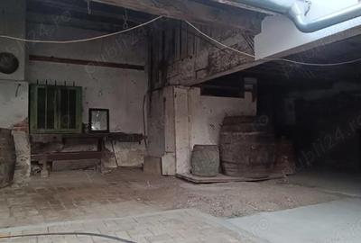 Casă cu 5 camere cu Teren 650 Mp în Bozovici - 2