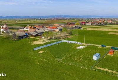 Spațiu comercial, în Băcel - 5