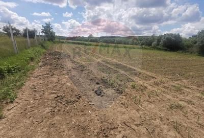 Teren Construcții intravilan de 1250 mp, în Central - 6