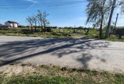 Spațiu comercial, în Socodor - 3