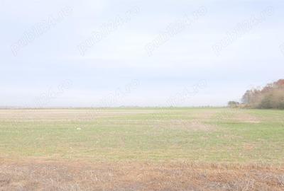 Teren de 270000 mp, în Gherghița - 9