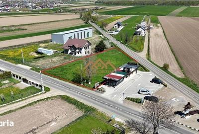 Teren de 1700 mp, în Mitocu Dragomirnei - 3