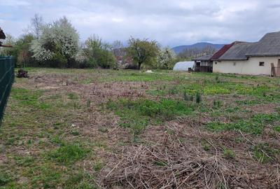 Teren de 4600 mp, în Recea - 4