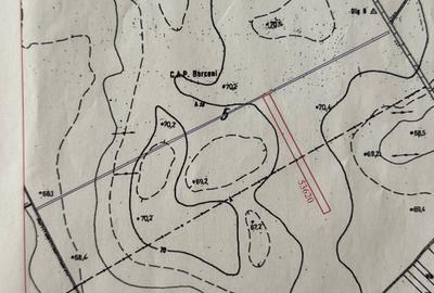 Teren 5000 mp, Berceni, 200m de sosea Teren 5000 mp, Berceni, 200m de sosea - 3