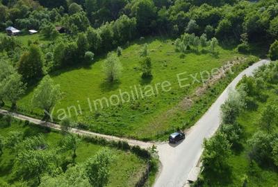 Teren de 8387 mp, în Corbi - 6