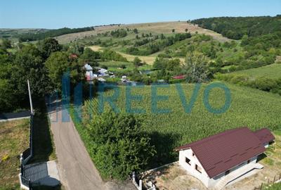 Teren Construcții intravilan de 3500 mp, în Bogdănești (Traian) - 2