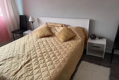 Apartament cu 2 camere decomandat în Abator - 7