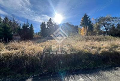 Teren de vanzare 12 ari - COLIBITA - 4