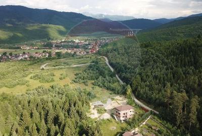 Comision 0%! Teren Sacele / Strada Valea Larga 2000 mp - 1