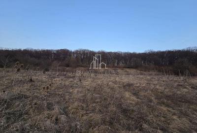 Teren extravilan 28.800 Mp , zona Rora, Sighisoara - 6