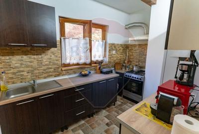 Casa din lemn Ribita,jud Hunedoara - 15