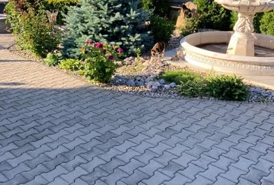 Casă individuală cu 5 camere cu Teren 1750 Mp în Hetiur - 2