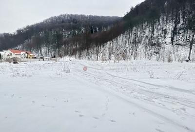 Teren intravilan - Sacele - Brasov - 4