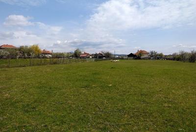 Spațiu comercial, în Radoși - 1