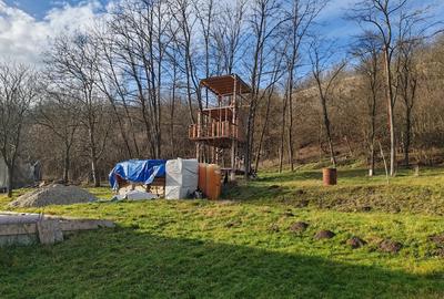 Casa tradi?ionala de vanzare cu 3600 mp - 3