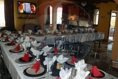 Vila/Casa de vacanta la munte (D+P+E+M) - Prahova - Provi... - 15