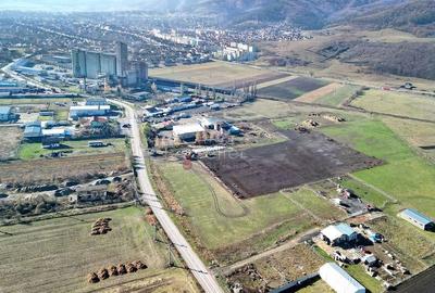 Teren de 31400 mp, în Codlea - 7