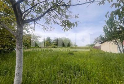 Teren Construcții intravilan de 2400 mp, în Burdujeni - 2