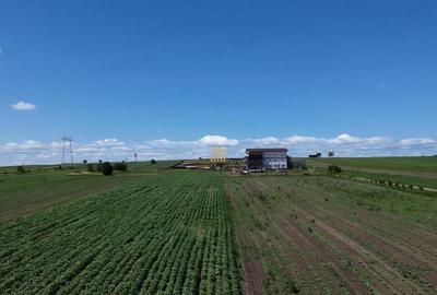 Teren Intravilan 36977 mp E 85 Intrare in Municip... - 7